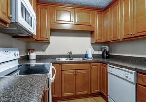 Ski-in/Ski-out 2 Bed, 2 Bath condo Holiday Valley