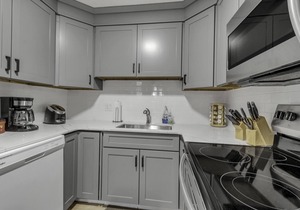 Ski-in/Ski-out 2 Bed, 2 Bath condo Holiday Valley