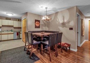 Ski In/Ski Out, 3 Bedroom & 2 Bath Holiday Valley Condo