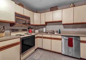 Ski In/Ski Out, 3 Bedroom & 2 Bath Holiday Valley Condo