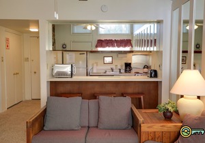 Ski/MTB/Golf Condo (#138) - Slope side | Mountain, Golf Course views | Vaulted ceilings!