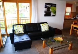 Ski Paradise SP 005 - MOUNTAIN apt 6 pers