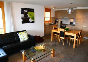 Ski Paradise SP 005 - MOUNTAIN apt 6 pers
