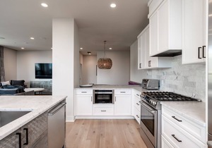 Skyview Penthouse- Luxury penthouse in downtown Bozeman with 30 night minimum