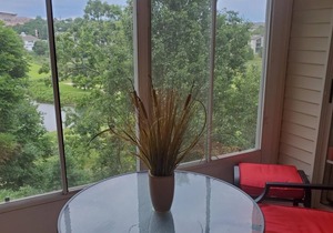 Small Lake and Golf Course Views~Dogs Ok~By Strip