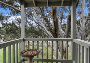 Snowgums 10 - Dinner Plain