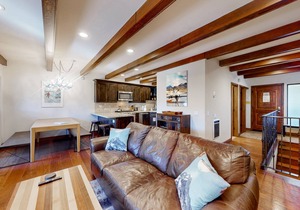 Sophisticated, dog-friendly condo in nature with fireplace - walk to village