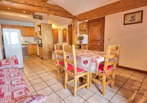 Spacious ski-in/ski-out apartment with parking and WIFI