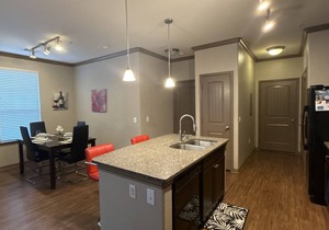 Spacious 2 bed/2bath in The Woodlands*