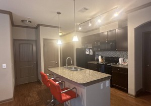 Spacious 2 bed/2bath in The Woodlands*