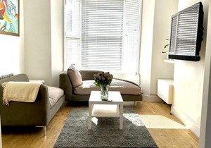 Spacious City London Apartments London Eye, Westminster, Big Ben, Vauxhall Station