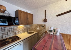 Spacious duplex 8 people with parking at the foot of the slopes in Auris en Oisans