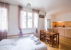 Spacious studio in Batignolles
