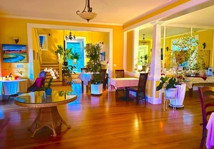 Specialty Vibrant Hawi Guest House