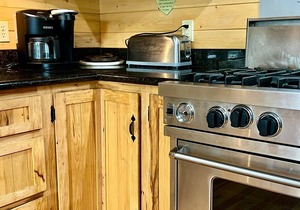 Spectacular 6 BR cabin surrounded by ponderosa pines - in Alpine