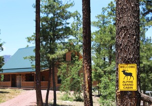 Spectacular 6 BR cabin surrounded by ponderosa pines - in Alpine