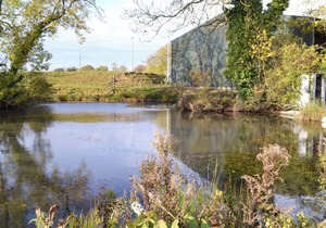 Stable Cottage 1 - UKC3741