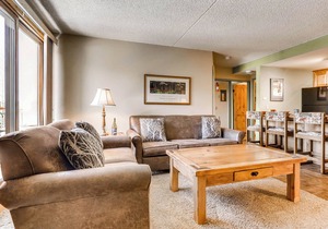 Steps to Adventure, Remodeled Kitchen, Wi-Fi, Ski in/out, Gas Fireplace TE411