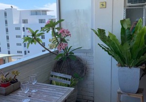 Studio 10 Bondi, roof top pool, walk to beach, air con, restaurants 2 mins