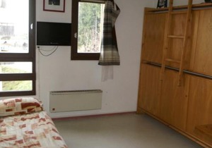 Studio au pied des pistes, animaux admis - FR-1-557-98