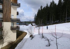 Studio au pied des pistes, animaux admis - FR-1-557-98