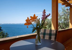 Studio flat with terrace and sea view Sali, Dugi otok (AS-17791-a)