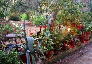 Studio & large garden 200m Calvi beach