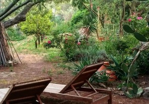 Studio & large garden 200m Calvi beach