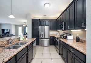 Stunning Vacation Condo - Vista Cay Resort - 2008