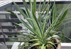 Sweeping City Views from an Elegant Apartment