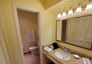 Swim with Amazing Manatees! Relaxing Room, Fantastic View, Outdoor Pool