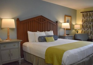 Swim with Amazing Manatees! Relaxing Room, Fantastic View, Outdoor Pool