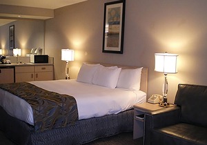 Take An Amazing Vacation! FREE Parking and Indoor Pool, Near Boise Art Museum!