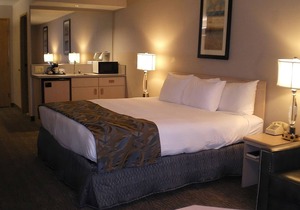 Take An Amazing Vacation! FREE Parking and Indoor Pool, Near Boise Art Museum!