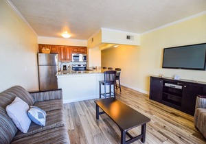 TAMPA BAY SPECTACULAR WATERFRONT VIEWS!