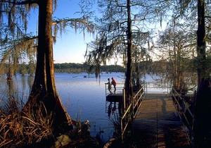 Tentrr State Park Site - Chicot State Park Site G