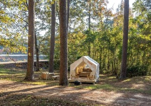 Tentrr State Park Site - Mississippi Roosevelt State Park - Tall Trees G