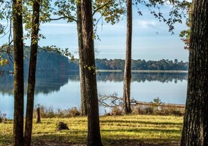 Tentrr State Park Site - Mississippi Roosevelt State Park - Tall Trees B - Sing
