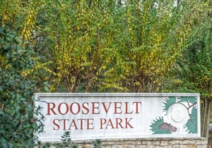 Tentrr State Park Site - Mississippi Roosevelt State Park - Tall Trees B - Sing