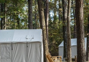 Tentrr State Park Site - Mississippi Roosevelt State Park - Tall Trees B - Sing