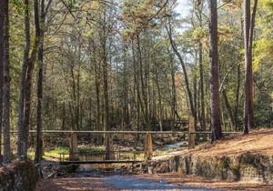 Tentrr State Park Site - Mississippi Clarkco State Park - Highridge G - Single C
