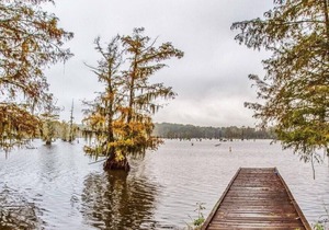 Tentrr State Park Site - Louisiana Chicot State Park - Site F - Single Camp