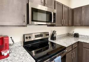 Texas Corporate Housing Professional Apartment