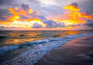 The Anna Maria Island Beach Paradise 5