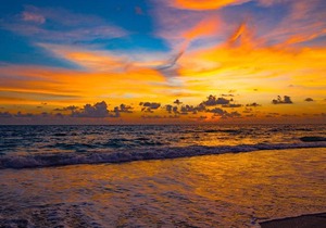 The Anna Maria Island Beach Paradise 5