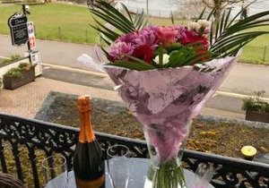 The Downs, Babbacombe