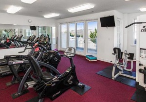 The Sandbridge Dunes - Ocean Watch 210