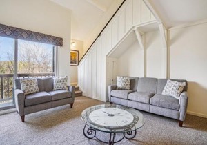 Three bedroom condo, Ski home Whiffletree E7