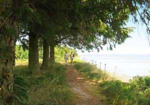 Three-Bedroom Holiday home in Højslev 10