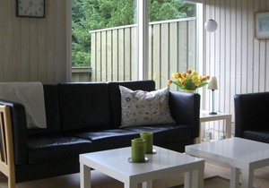Three-Bedroom Holiday home in Pandrup 4